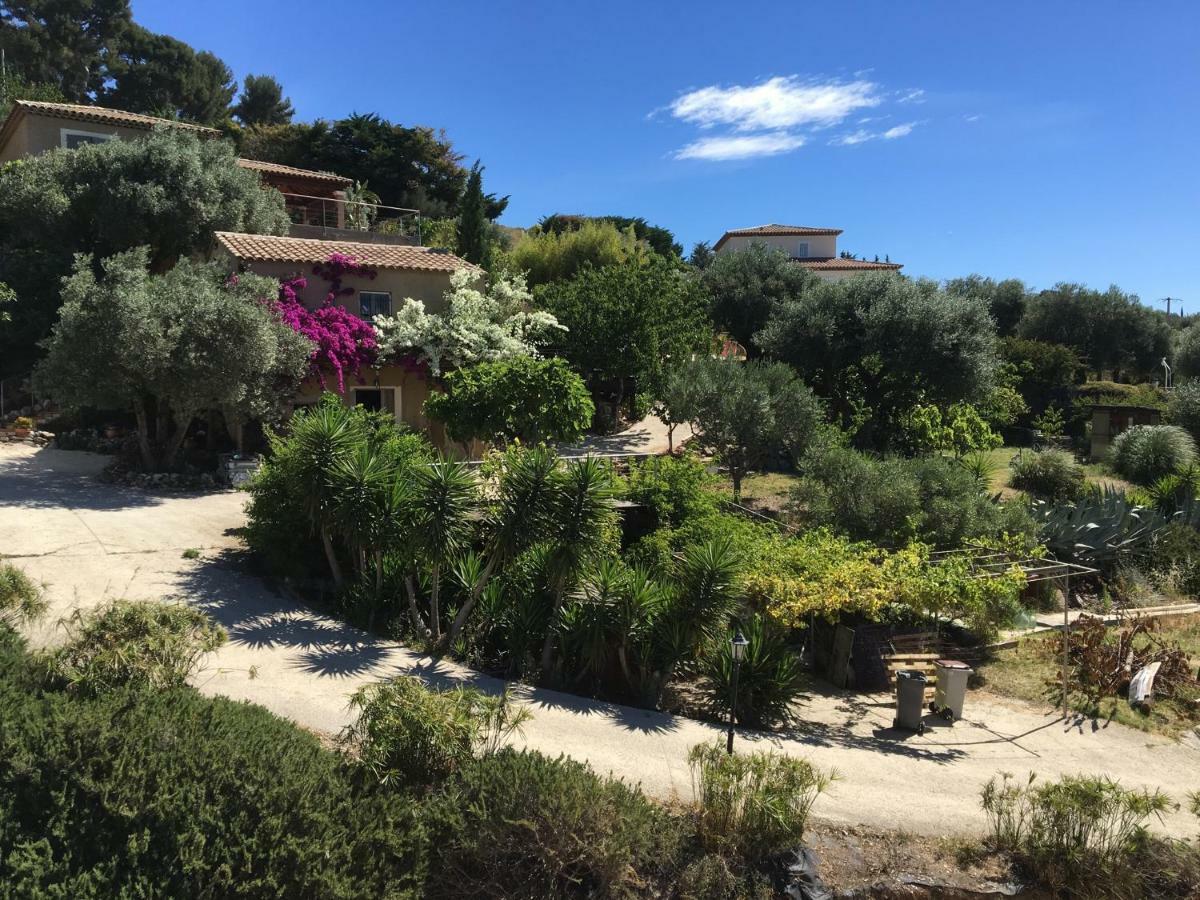 Les Terrasses Sur Mer Ollioules Exterior photo
